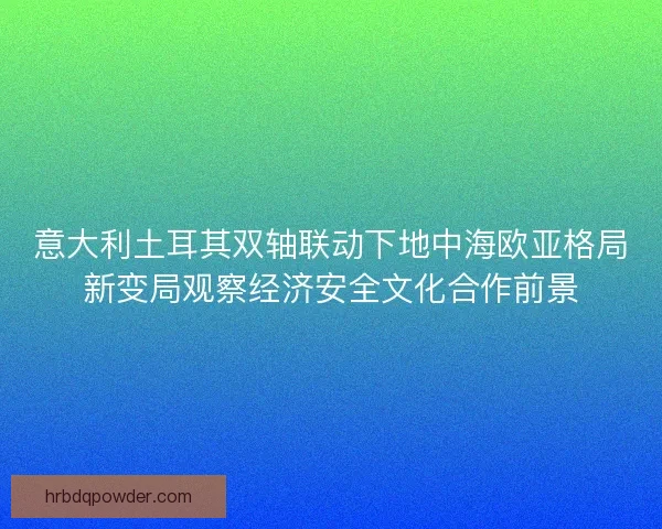 意大利土耳其双轴联动下地中海欧亚格局新变局观察经济安全文化合作前景 意大利土耳其双轴联动下地中海欧亚格局新变局观察经济安全文化合作前景